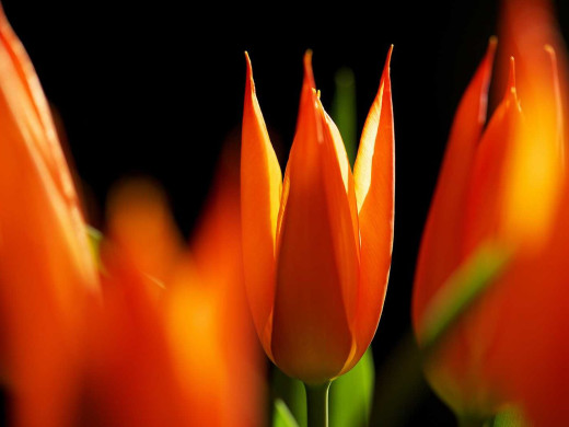 429851 (a): :1600x1200